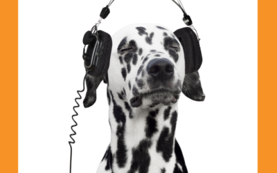 How Scentwork Training Can Help To Navigate Through Your Dog’s Adolescence