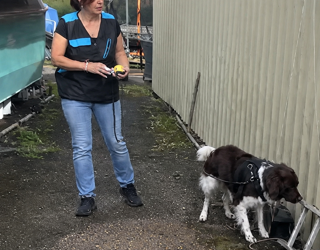 My Tips for Helping Your Dog Cope With Environmental Worries During a Scent Work Activity
