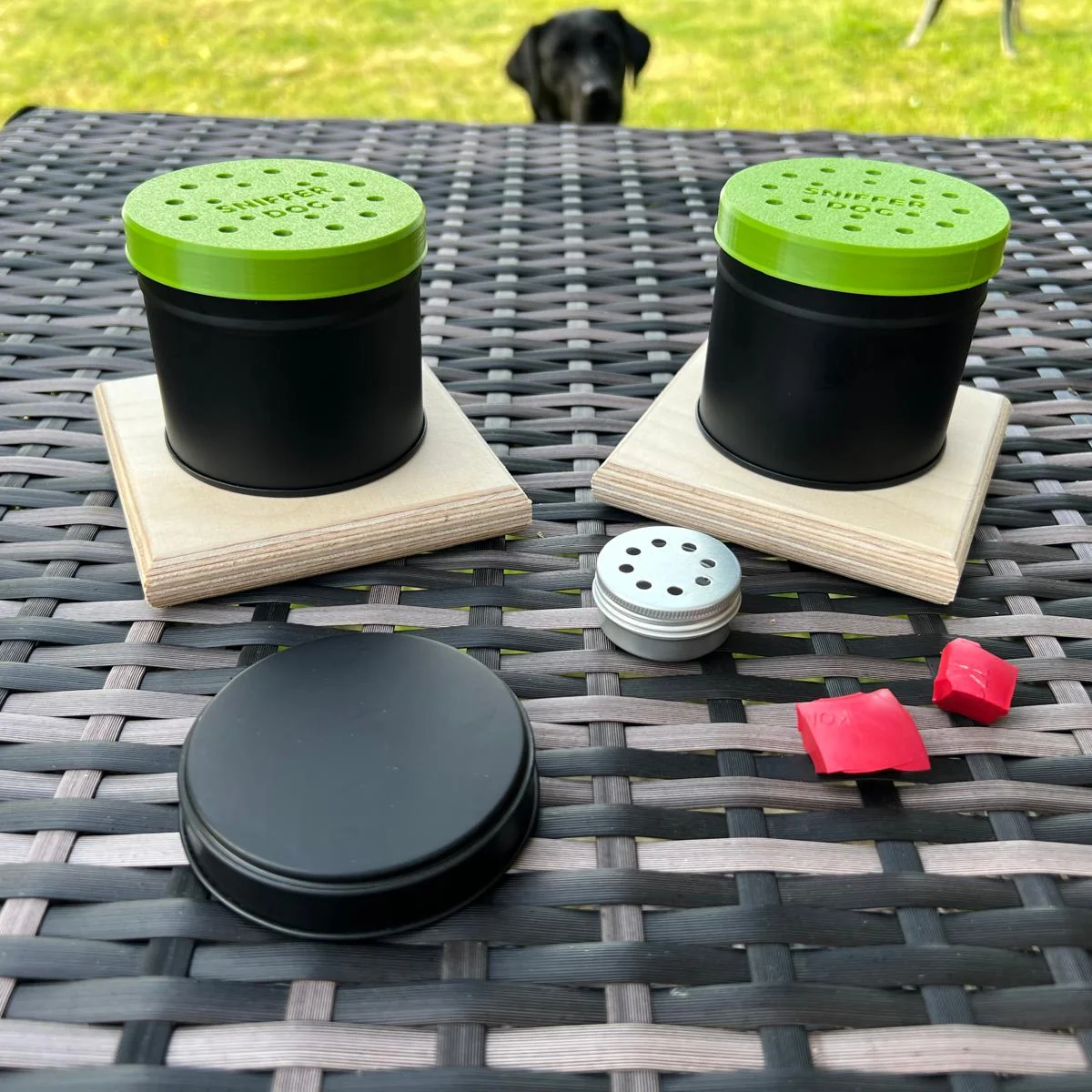 Kong_starter_kit_1