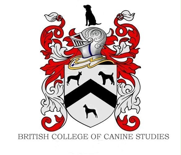canine studies